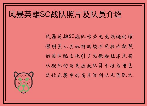风暴英雄SC战队照片及队员介绍